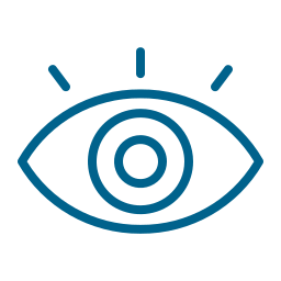 Vision Icon
